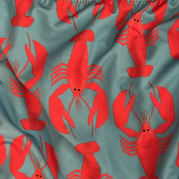 Super cute lobster print bottom - high waisted, bright red underwire top sz L - Picture 7 of 7